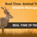 Real-Time Animal Tracking: The Future of Wildlife Management