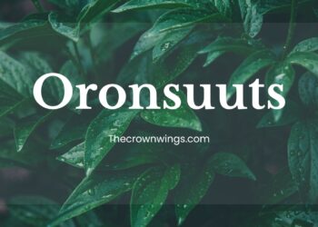 Oronsuuts