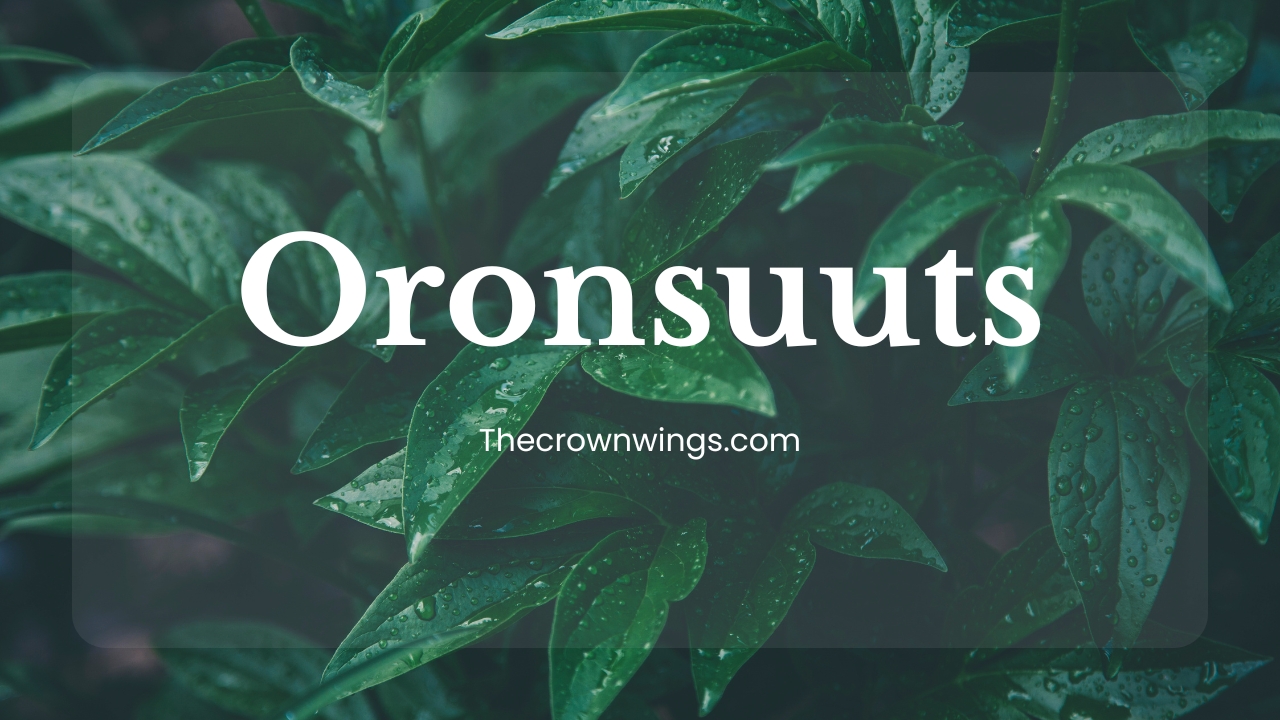 Oronsuuts