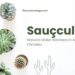 Sauçculent