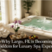 Spa in Largo FL