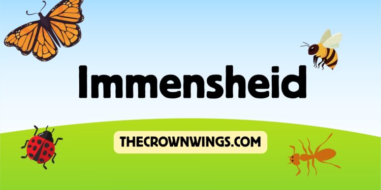 Immensheid