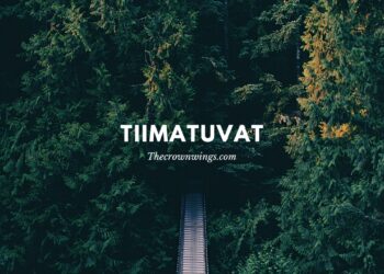Tiimatuvat