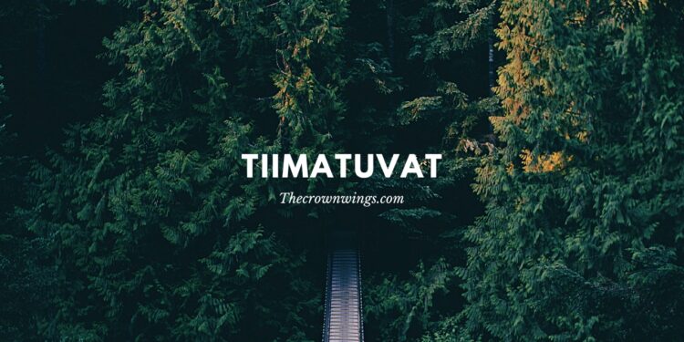 Tiimatuvat