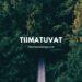 Tiimatuvat