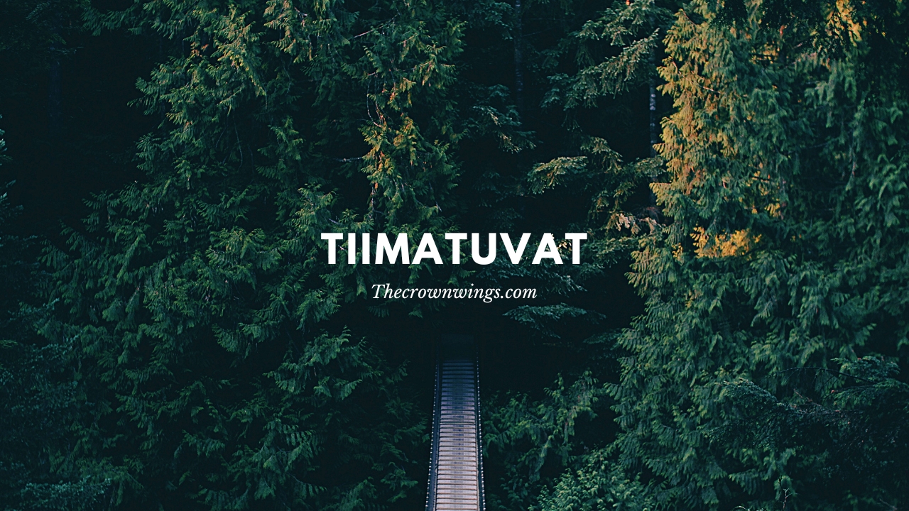 Tiimatuvat